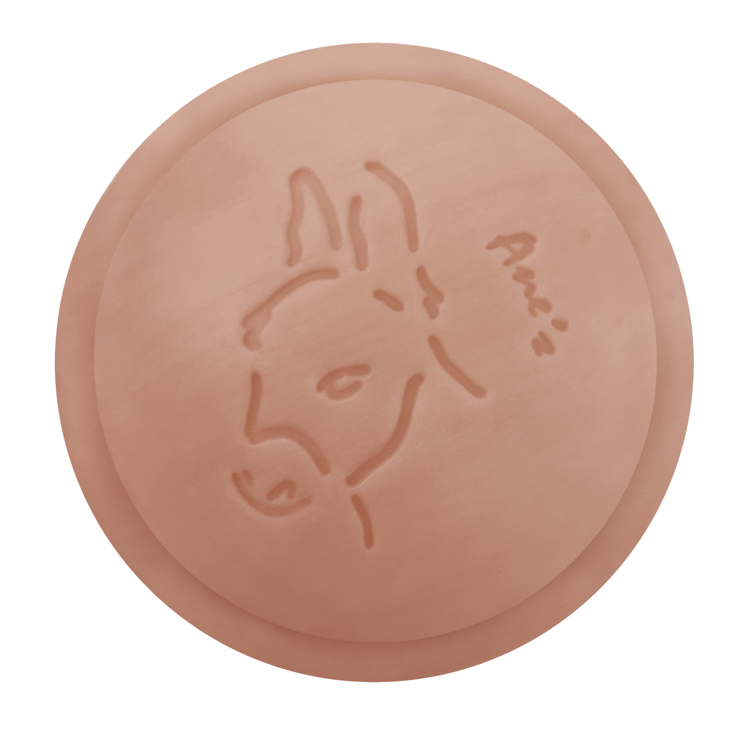 Savon visage et corps à l'huile de monoï de tahiti enrichi en lait d'ânesse frais et bio. Fabrication artisanale. Format économique: 160g.