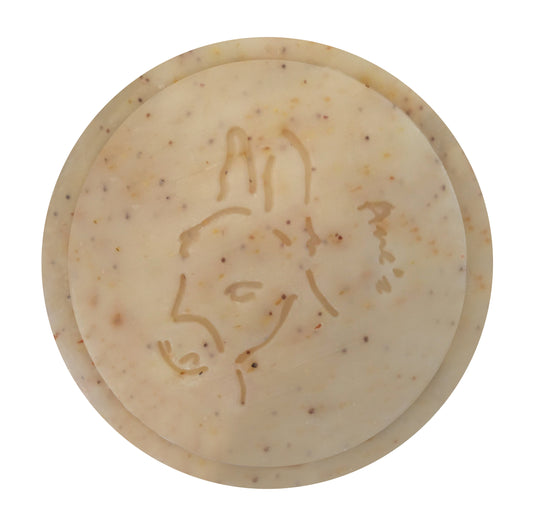 Savon visage et corps exfoliant enrichi en lait d'ânesse frais et bio. Fabrication artisanale. Format économique: 160g.